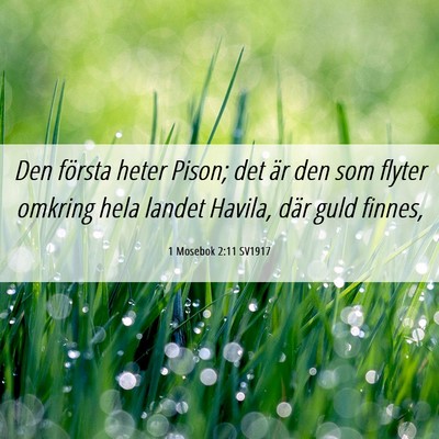Picture 06 - 1 Mosebok 2:11 SV1917 - Den första heter Pison; det är den som flyter - Bible Verse Picture
