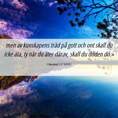 Picture 06 - 1 Mosebok 2:17 SV1917 - men av kunskapens träd på gott och ont skall du - Bible Verse Picture