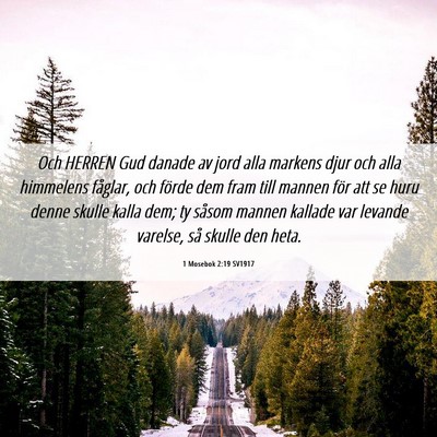 Picture 06 - 1 Mosebok 2:19 SV1917 - Och HERREN Gud danade av jord alla markens djur - Bible Verse Picture