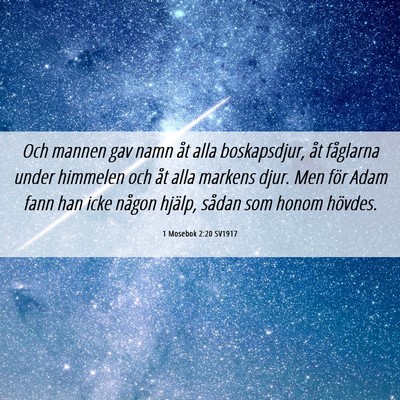 Picture 06 - 1 Mosebok 2:20 SV1917 - Och mannen gav namn åt alla boskapsdjur, åt - Bible Verse Picture