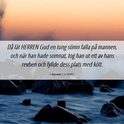 Picture 06 - 1 Mosebok 2:21 SV1917 - Då lät HERREN Gud en tung sömn falla på - Bible Verse Picture