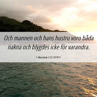 Picture 06 - 1 Mosebok 2:25 SV1917 - Och mannen och hans hustru voro båda nakna och - Bible Verse Picture