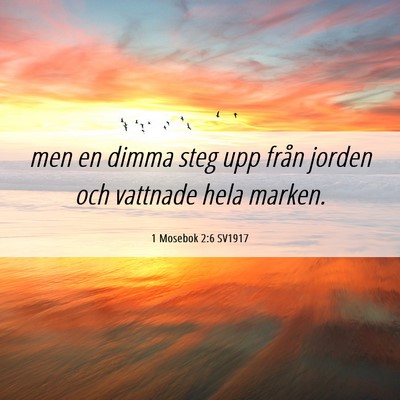 Picture 06 - 1 Mosebok 2:6 SV1917 - men en dimma steg upp från jorden och vattnade - Bible Verse Picture