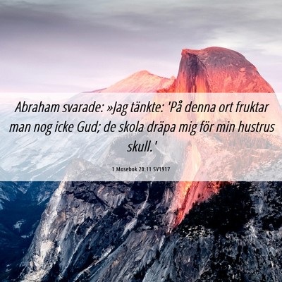 Picture 06 - 1 Mosebok 20:11 SV1917 - Abraham svarade: »Jag tänkte: 'På denna ort - Bible Verse Picture