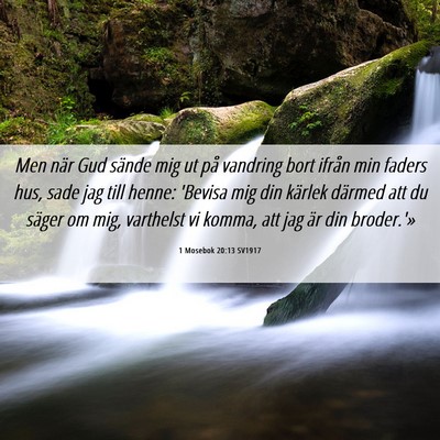Picture 06 - 1 Mosebok 20:13 SV1917 - Men när Gud sände mig ut på vandring bort - Bible Verse Picture