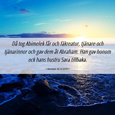Picture 06 - 1 Mosebok 20:14 SV1917 - Då tog Abimelek får och fäkreatur, tjänare - Bible Verse Picture