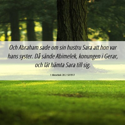 Picture 06 - 1 Mosebok 20:2 SV1917 - Och Abraham sade om sin hustru Sara att hon var - Bible Verse Picture