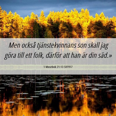 Picture 06 - 1 Mosebok 21:13 SV1917 - Men också tjänstekvinnans son skall jag göra - Bible Verse Picture