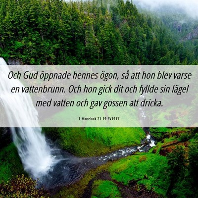 Picture 06 - 1 Mosebok 21:19 SV1917 - Och Gud öppnade hennes ögon, så att hon blev - Bible Verse Picture