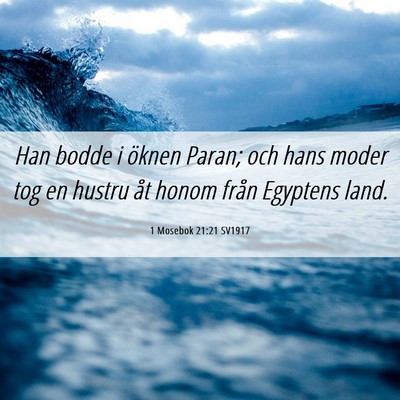 Picture 06 - 1 Mosebok 21:21 SV1917 - Han bodde i öknen Paran; och hans moder tog en - Bible Verse Picture