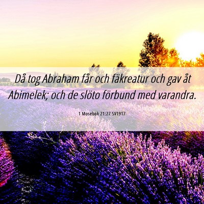 Picture 06 - 1 Mosebok 21:27 SV1917 - Då tog Abraham får och fäkreatur och gav åt - Bible Verse Picture