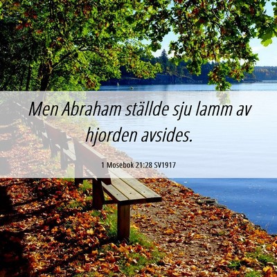 Picture 06 - 1 Mosebok 21:28 SV1917 - Men Abraham ställde sju lamm av hjorden - Bible Verse Picture