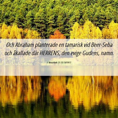 Picture 06 - 1 Mosebok 21:33 SV1917 - Och Abraham planterade en tamarisk vid Beer-Seba - Bible Verse Picture