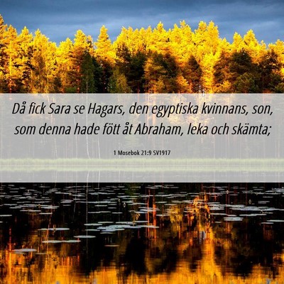 Picture 06 - 1 Mosebok 21:9 SV1917 - Då fick Sara se Hagars, den egyptiska kvinnans, - Bible Verse Picture