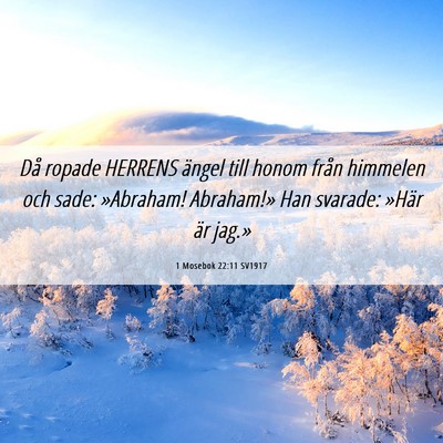 Picture 06 - 1 Mosebok 22:11 SV1917 - Då ropade HERRENS ängel till honom från - Bible Verse Picture