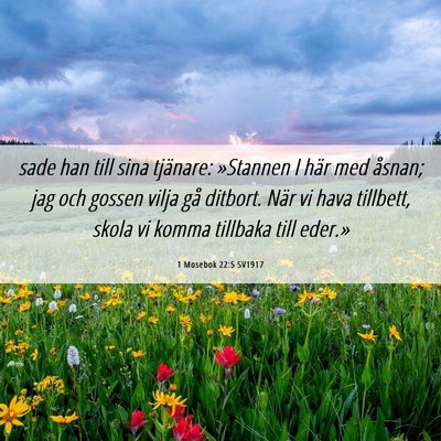 Picture 06 - 1 Mosebok 22:5 SV1917 - sade han till sina tjänare: »Stannen I här med - Bible Verse Picture