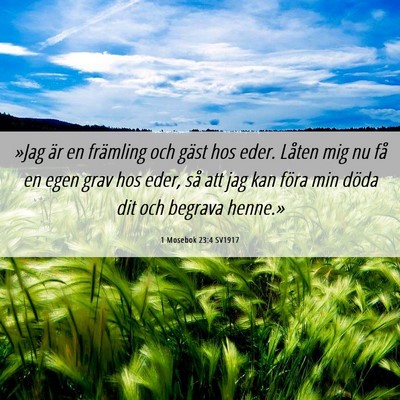 Picture 06 - 1 Mosebok 23:4 SV1917 - »Jag är en främling och gäst hos eder. Låten - Bible Verse Picture
