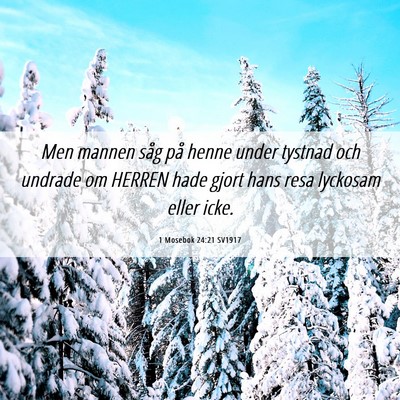 Picture 06 - 1 Mosebok 24:21 SV1917 - Men mannen såg på henne under tystnad och - Bible Verse Picture