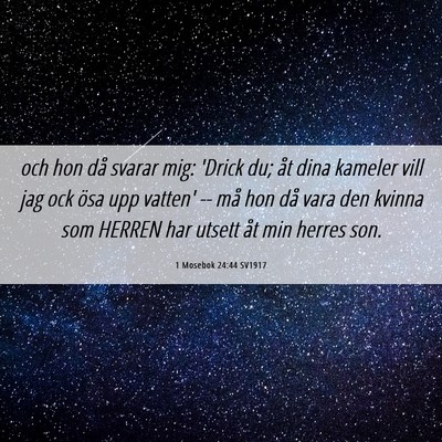 Picture 06 - 1 Mosebok 24:44 SV1917 - och hon då svarar mig: 'Drick du; åt dina - Bible Verse Picture