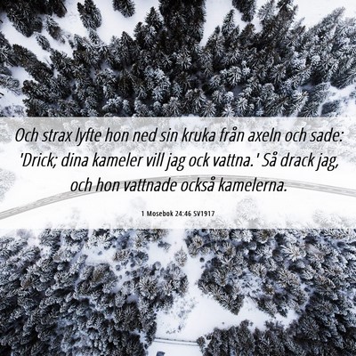 Picture 06 - 1 Mosebok 24:46 SV1917 - Och strax lyfte hon ned sin kruka från axeln och - Bible Verse Picture