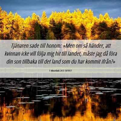 Picture 06 - 1 Mosebok 24:5 SV1917 - Tjänaren sade till honom: »Men om så händer, - Bible Verse Picture