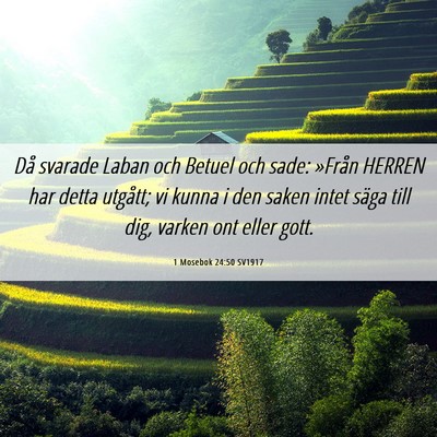 Picture 06 - 1 Mosebok 24:50 SV1917 - Då svarade Laban och Betuel och sade: »Från - Bible Verse Picture
