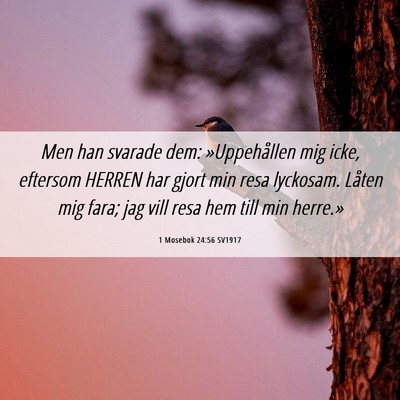 Picture 06 - 1 Mosebok 24:56 SV1917 - Men han svarade dem: »Uppehållen mig icke, - Bible Verse Picture