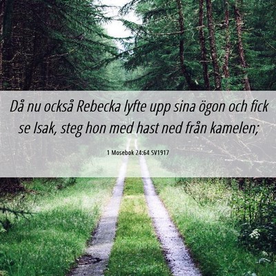 Picture 06 - 1 Mosebok 24:64 SV1917 - Då nu också Rebecka lyfte upp sina ögon och - Bible Verse Picture