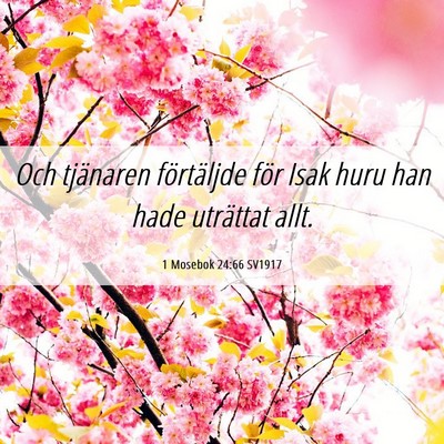 Picture 06 - 1 Mosebok 24:66 SV1917 - Och tjänaren förtäljde för Isak huru han hade - Bible Verse Picture