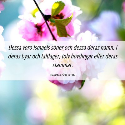 Picture 06 - 1 Mosebok 25:16 SV1917 - Dessa voro Ismaels söner och dessa deras namn, i - Bible Verse Picture
