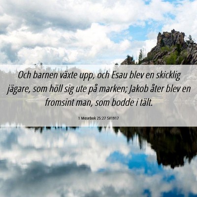 Picture 06 - 1 Mosebok 25:27 SV1917 - Och barnen växte upp, och Esau blev en skicklig - Bible Verse Picture