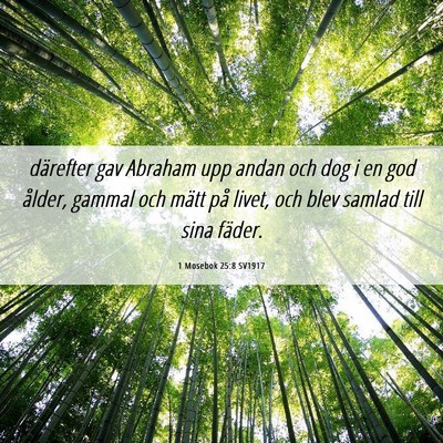 Picture 06 - 1 Mosebok 25:8 SV1917 - därefter gav Abraham upp andan och dog i en god - Bible Verse Picture