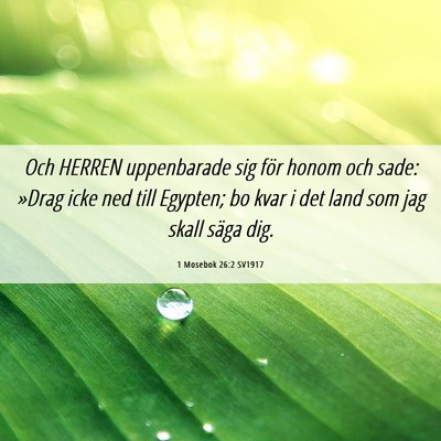 Picture 06 - 1 Mosebok 26:2 SV1917 - Och HERREN uppenbarade sig för honom och sade: - Bible Verse Picture