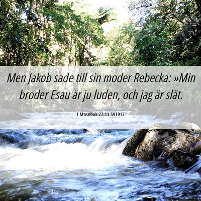 Picture 06 - 1 Mosebok 27:11 SV1917 - Men Jakob sade till sin moder Rebecka: »Min - Bible Verse Picture