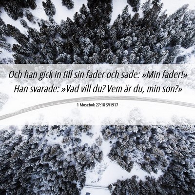 Picture 06 - 1 Mosebok 27:18 SV1917 - Och han gick in till sin fader och sade: »Min - Bible Verse Picture