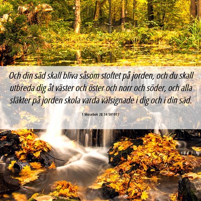 Picture 06 - 1 Mosebok 28:14 SV1917 - Och din säd skall bliva såsom stoftet på - Bible Verse Picture