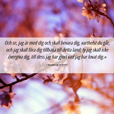 Picture 06 - 1 Mosebok 28:15 SV1917 - Och se, jag är med dig och skall bevara dig, - Bible Verse Picture