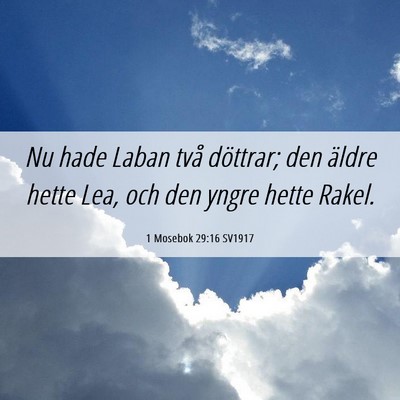 Picture 06 - 1 Mosebok 29:16 SV1917 - Nu hade Laban två döttrar; den äldre hette - Bible Verse Picture