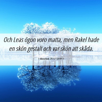 Picture 06 - 1 Mosebok 29:17 SV1917 - Och Leas ögon voro matta, men Rakel hade en - Bible Verse Picture