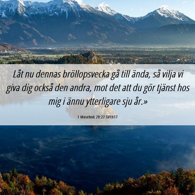 Picture 06 - 1 Mosebok 29:27 SV1917 - Låt nu dennas bröllopsvecka gå till ända, så - Bible Verse Picture