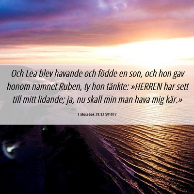 Picture 06 - 1 Mosebok 29:32 SV1917 - Och Lea blev havande och födde en son, och hon - Bible Verse Picture