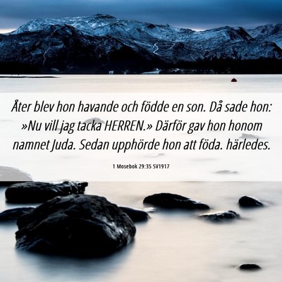 Picture 06 - 1 Mosebok 29:35 SV1917 - Åter blev hon havande och födde en son. Då - Bible Verse Picture