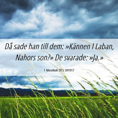 Picture 06 - 1 Mosebok 29:5 SV1917 - Då sade han till dem: »Kännen I Laban, Nahors - Bible Verse Picture
