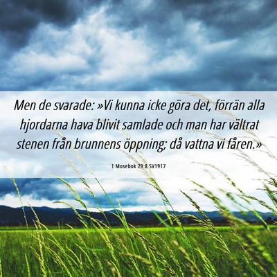 Picture 06 - 1 Mosebok 29:8 SV1917 - Men de svarade: »Vi kunna icke göra det, - Bible Verse Picture