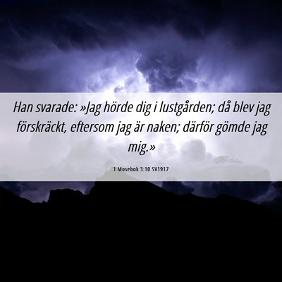 Picture 06 - 1 Mosebok 3:10 SV1917 - Han svarade: »Jag hörde dig i lustgården; då - Bible Verse Picture