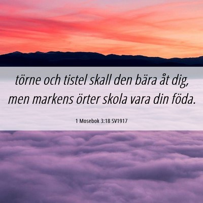 Picture 06 - 1 Mosebok 3:18 SV1917 - törne och tistel skall den bära åt dig, men - Bible Verse Picture