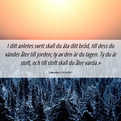 Picture 06 - 1 Mosebok 3:19 SV1917 - I ditt anletes svett skall du äta ditt bröd, - Bible Verse Picture