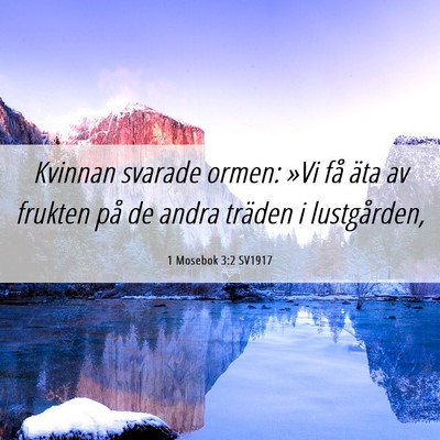 Picture 06 - 1 Mosebok 3:2 SV1917 - Kvinnan svarade ormen: »Vi få äta av frukten - Bible Verse Picture