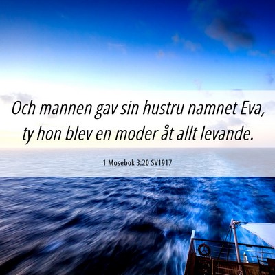 Picture 06 - 1 Mosebok 3:20 SV1917 - Och mannen gav sin hustru namnet Eva, ty hon blev - Bible Verse Picture