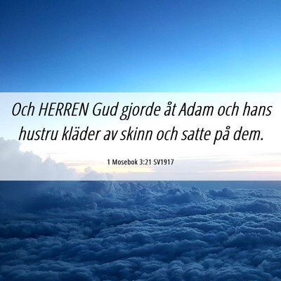 Picture 06 - 1 Mosebok 3:21 SV1917 - Och HERREN Gud gjorde åt Adam och hans hustru - Bible Verse Picture